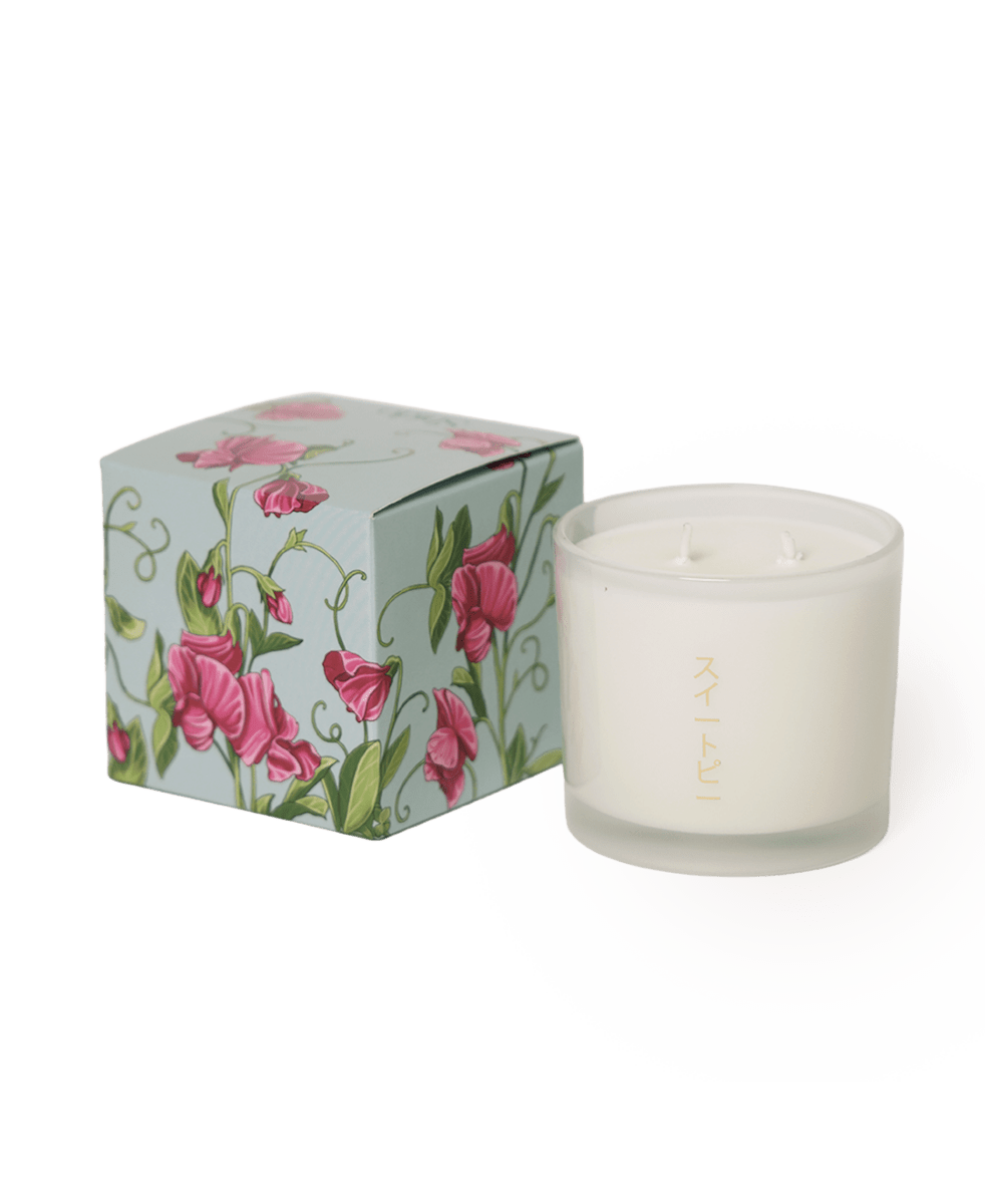 Shido Coconut & Soy Blend Sweet Pea Candle - Chive US Wholesale