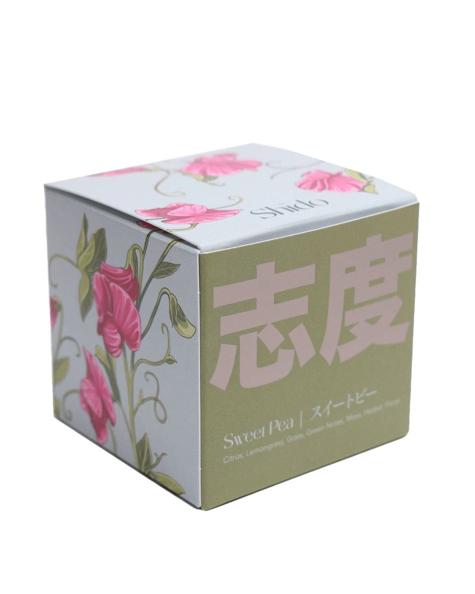 Shido Candles - 36pc Assortment - Chive US Wholesale