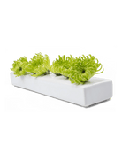 Sizen Ceramic Bud Vase For Flowers - Chive US Wholesale