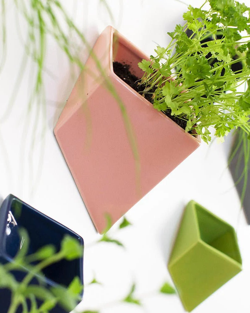 Slab Wall Planter 24pc Kit - Medium - Chive US Wholesale