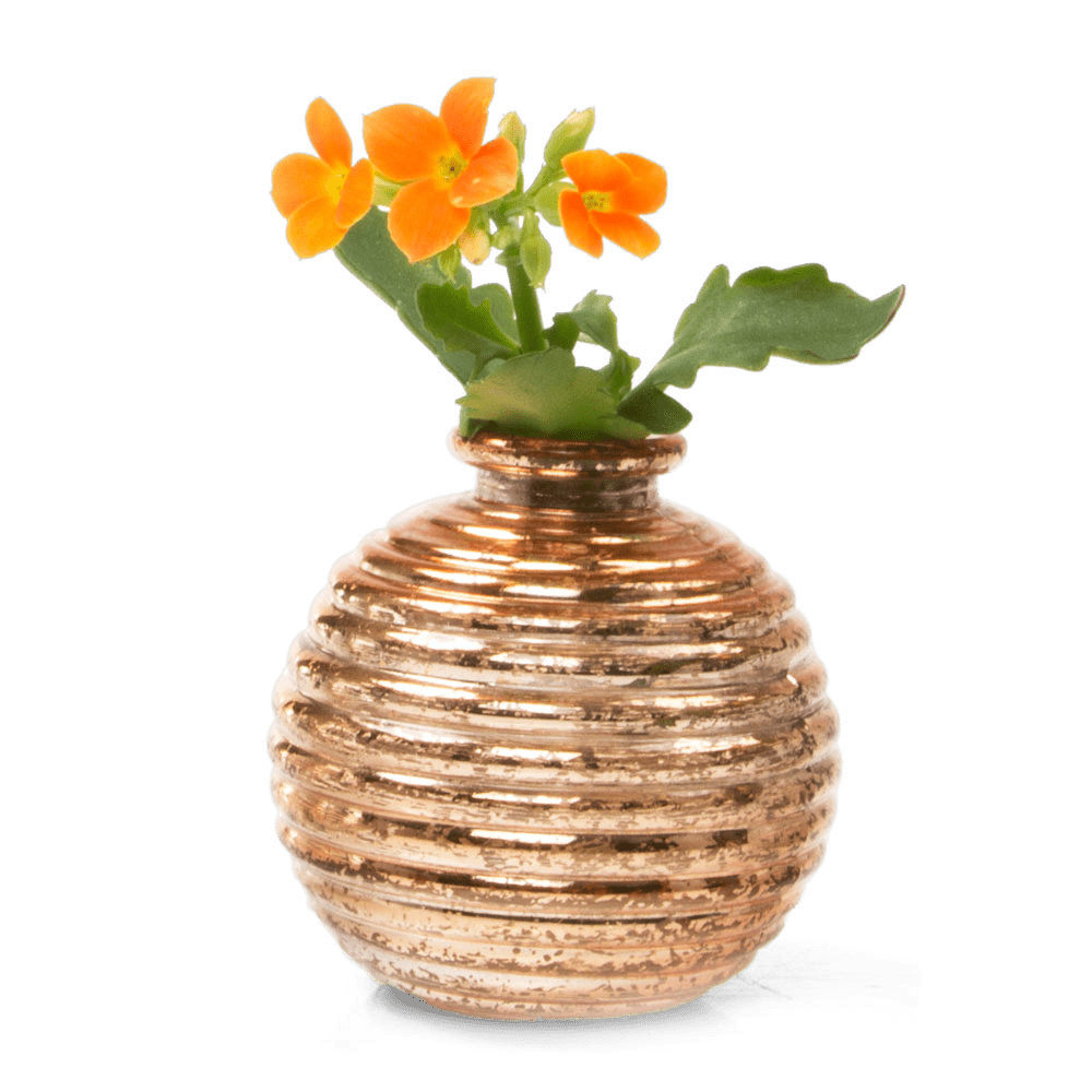 Smasak Glass Bud Vase - Chive US Wholesale