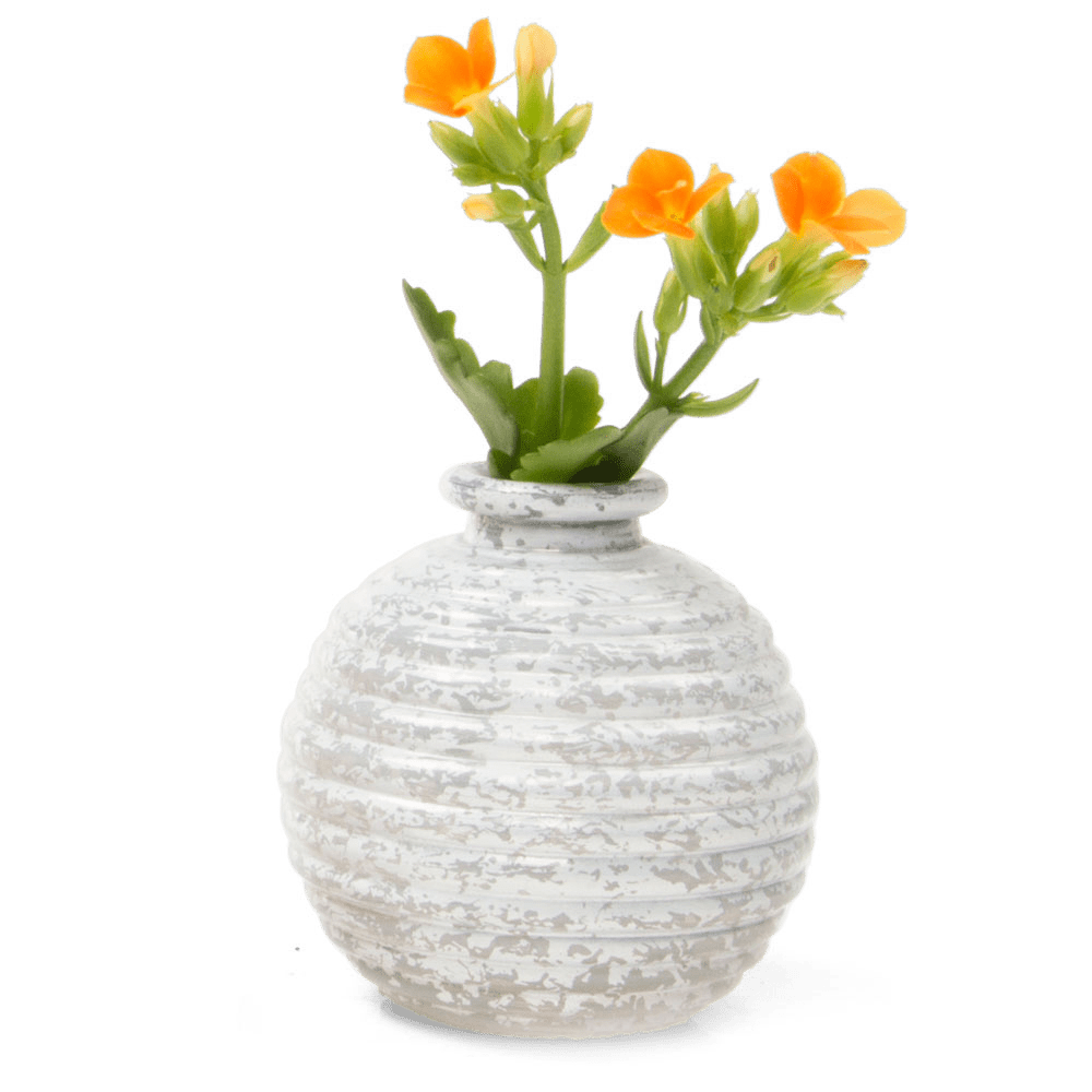 Smasak Glass Bud Vase - Chive US Wholesale