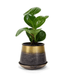Joe Metal Pot With Drainage Hole - Chive US Wholesale