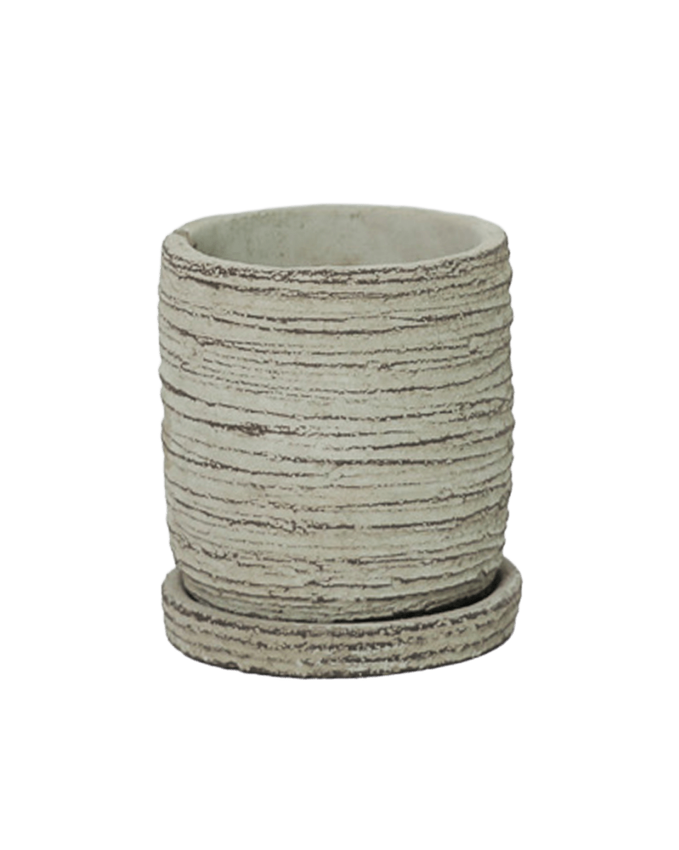 Paul Ceramic Pot And Saucer Set With Drainage - Chive US Wholesale