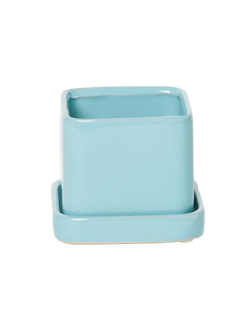 Svek Ceramic Pot And Saucer With Drainage Hole - Chive US Wholesale