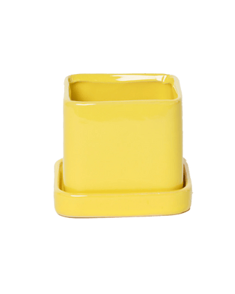 Svek Ceramic Pot And Saucer With Drainage Hole - Chive US Wholesale