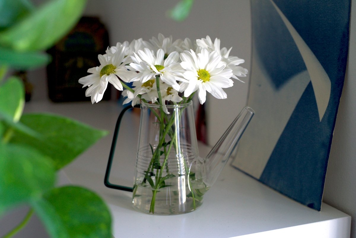 Sprocket Glass Modern Watering Container - Chive US Wholesale
