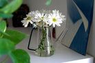 Sprocket Glass Modern Watering Container - Chive US Wholesale