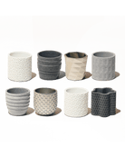 Stagma Resin Planter Pot Kit - Chive US Wholesale