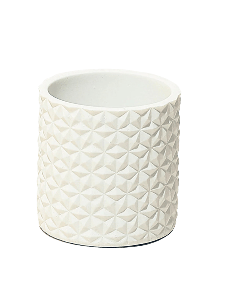 Stagma Resin Planter Pot - Chive US Wholesale