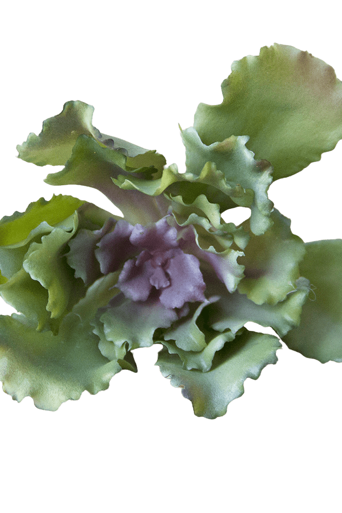 Succulents Fake Faux Lifelike Decorative Things - Chive US Wholesale