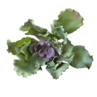 Succulents Fake Faux Lifelike Decorative Things - Chive US Wholesale