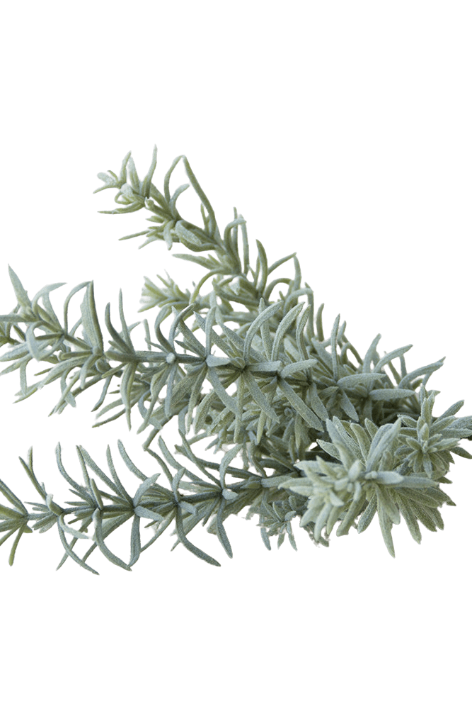 Succulents Fake Faux Lifelike Decorative Things - Chive US Wholesale