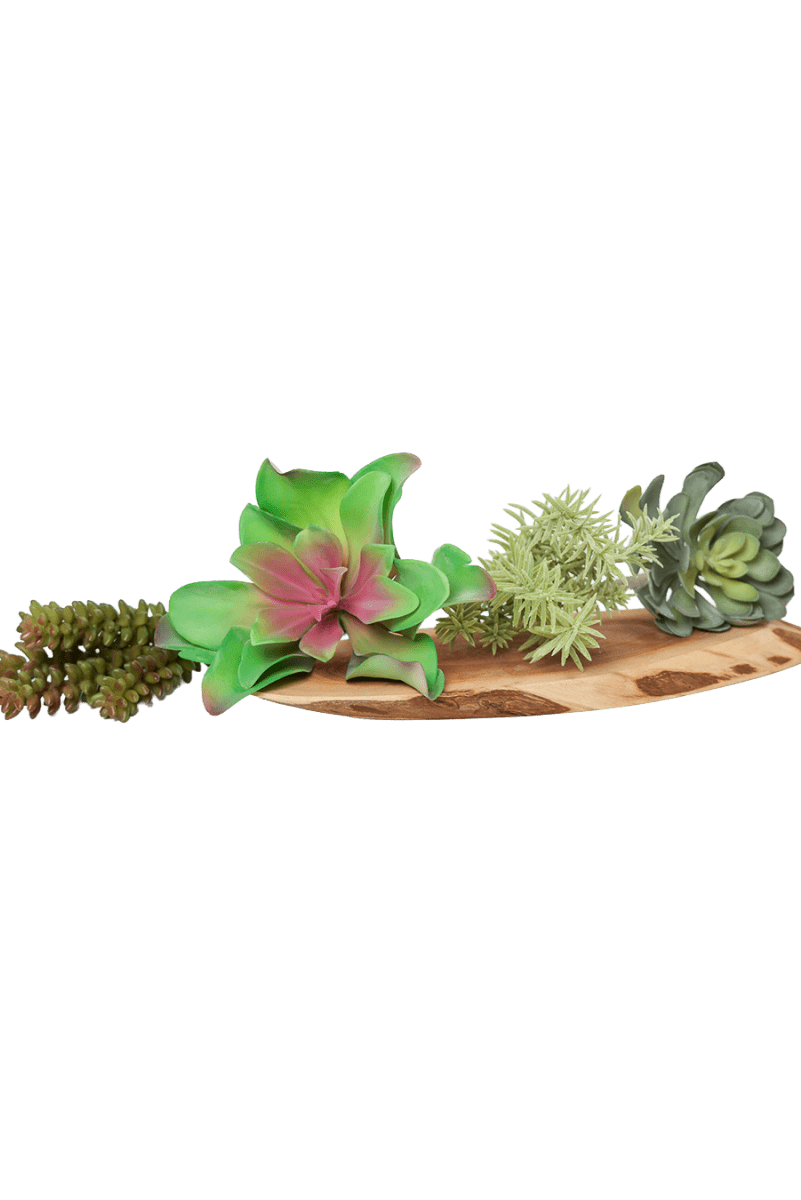 Succulents Fake Faux Lifelike Decorative Things - Chive US Wholesale