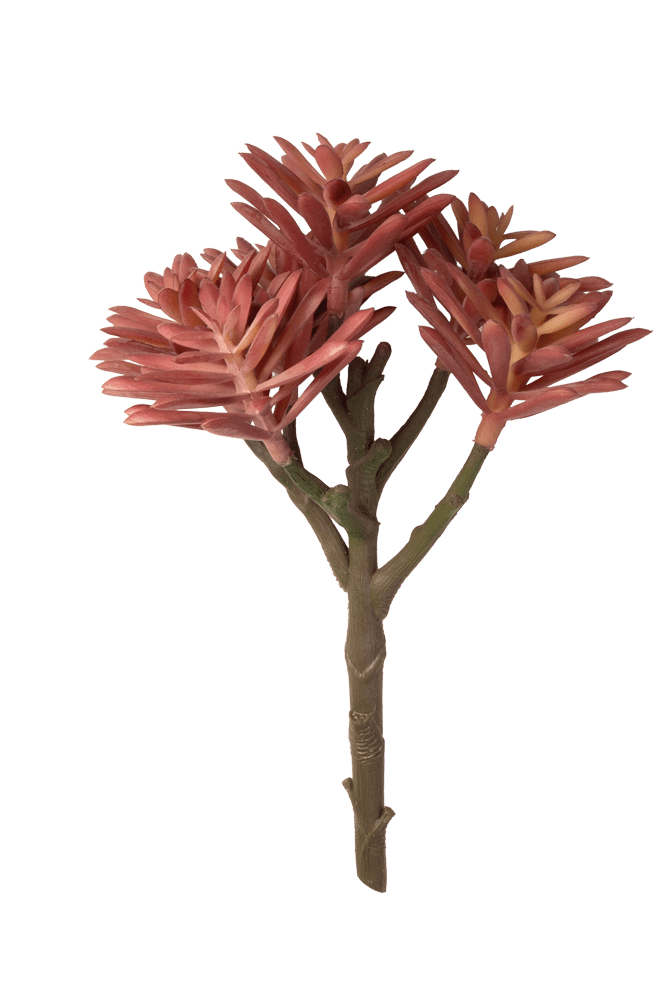 Premium Artificial Succulents - Lifelike Botanical Decor - Chive US Wholesale