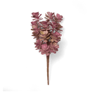 Premium Artificial Succulents - Lifelike Botanical Decor - Chive US Wholesale