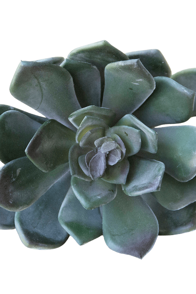 Premium Artificial Succulents - Lifelike Botanical Decor - Chive US Wholesale