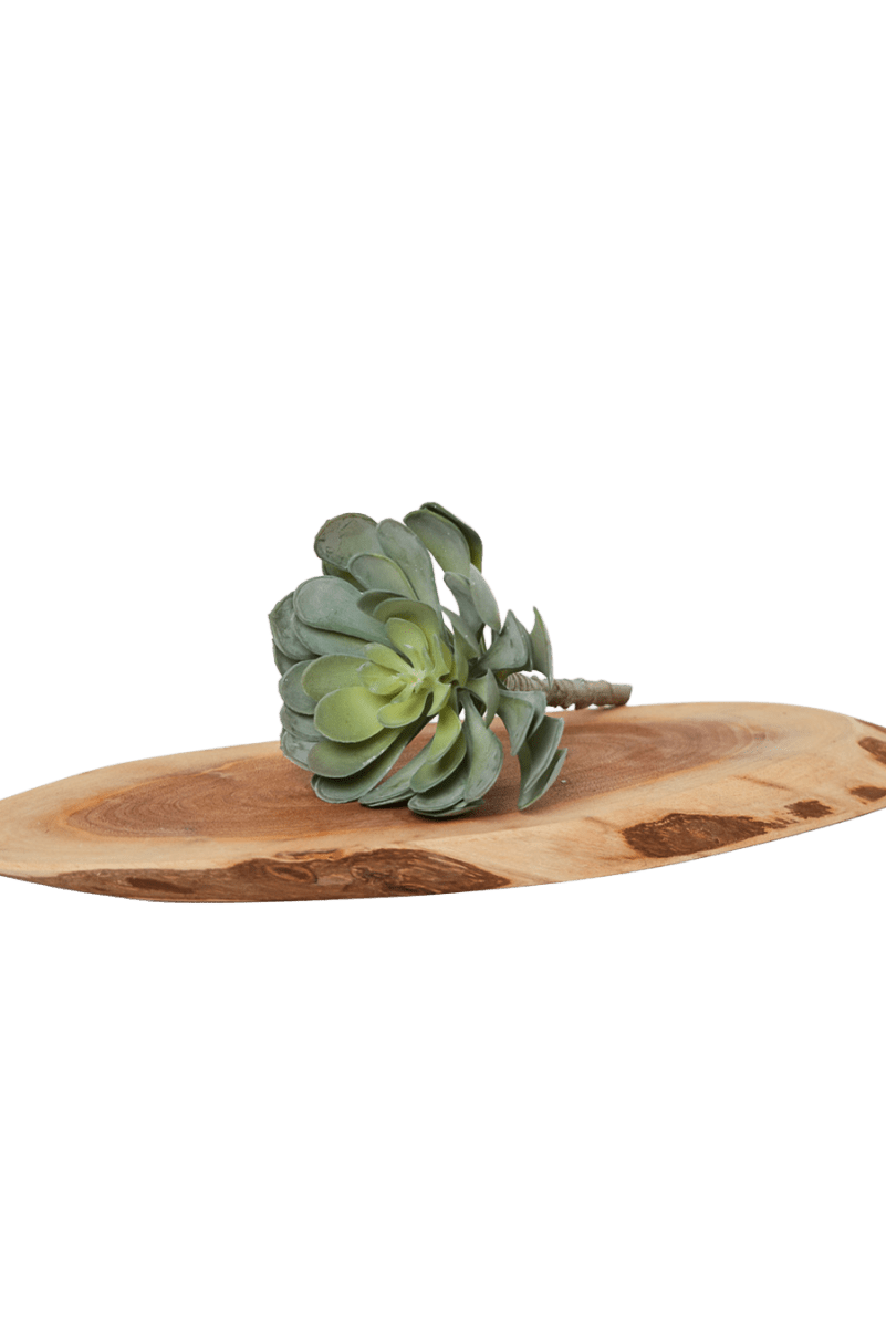 Premium Artificial Succulents - Lifelike Botanical Decor - Chive US Wholesale