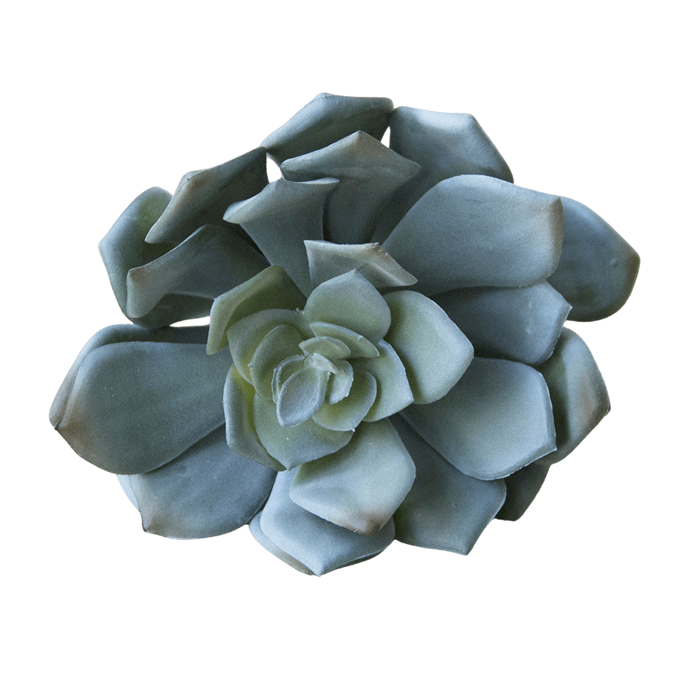 Succulents Fake Faux Lifelike Decorative Things - Chive US Wholesale