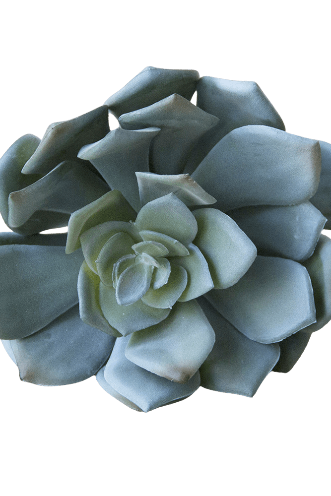 Premium Artificial Succulents - Lifelike Botanical Decor - Chive US Wholesale