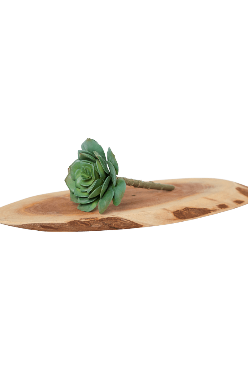 Premium Artificial Succulents - Lifelike Botanical Decor - Chive US Wholesale