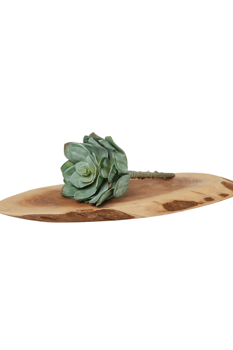 Premium Artificial Succulents - Lifelike Botanical Decor - Chive US Wholesale