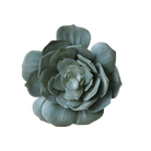 Premium Artificial Succulents - Lifelike Botanical Decor - Chive US Wholesale