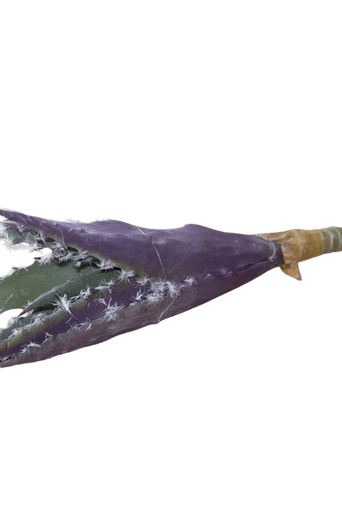 Succulents Fake Faux Lifelike Decorative Things - Chive US Wholesale