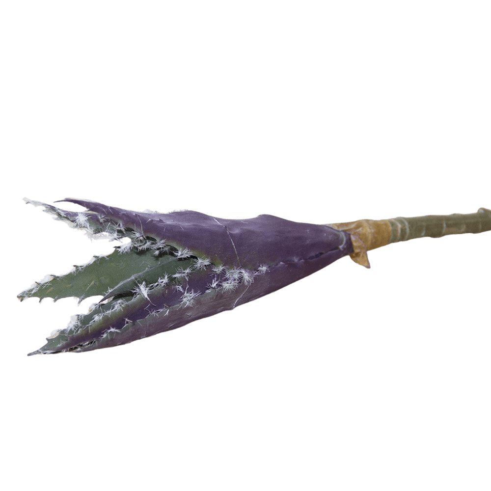 Succulents Fake Faux Lifelike Decorative Things - Chive US Wholesale