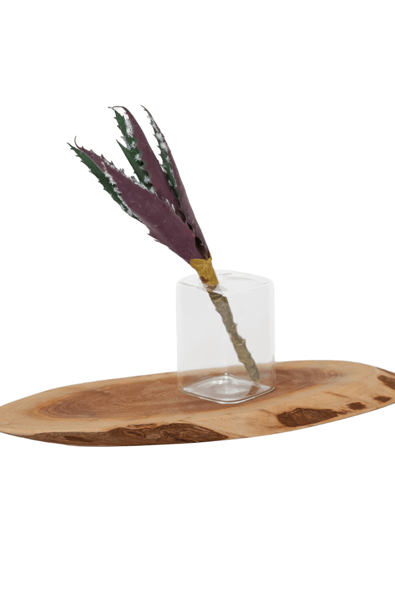 Succulents Fake Faux Lifelike Decorative Things - Chive US Wholesale