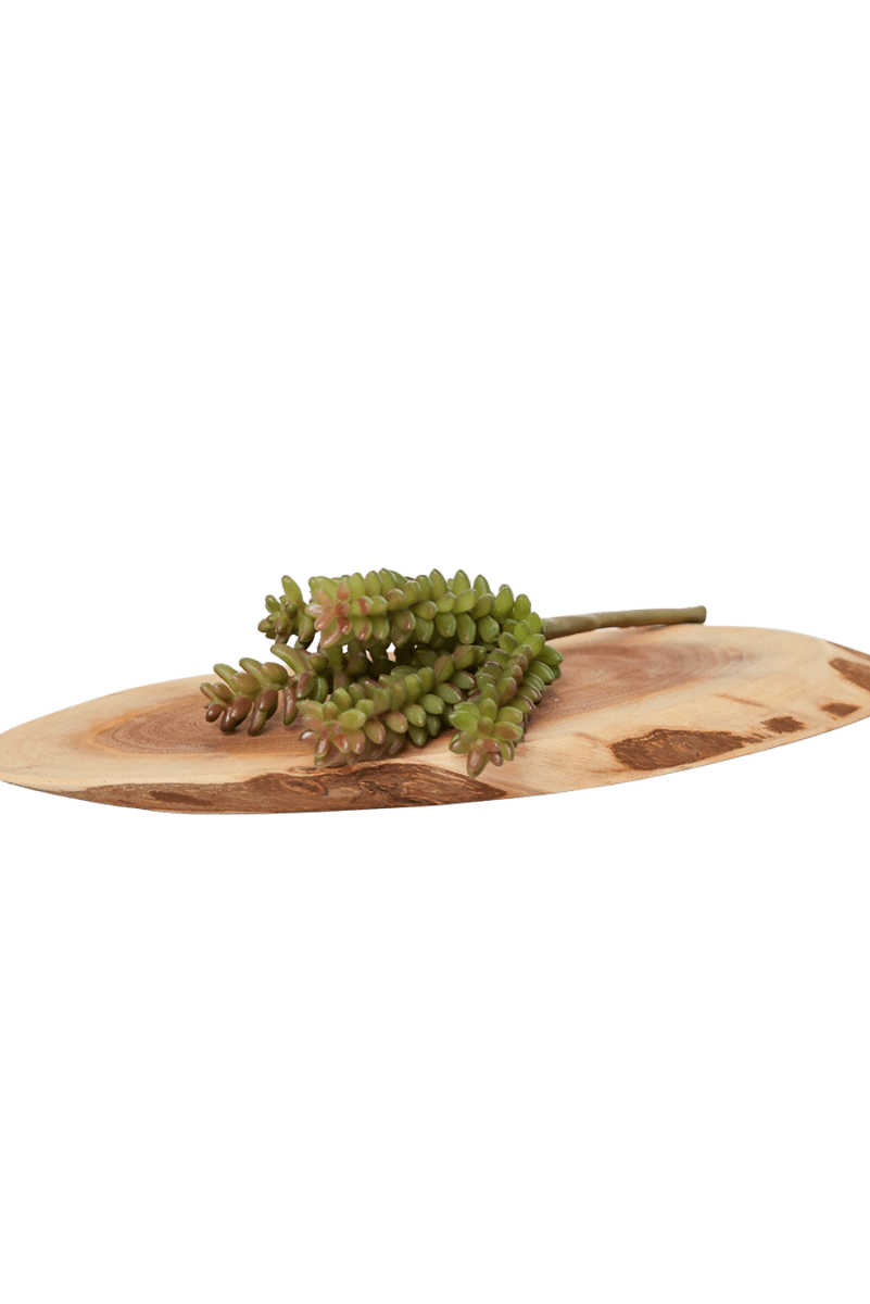 Succulents Fake Faux Lifelike Decorative Things - Chive US Wholesale