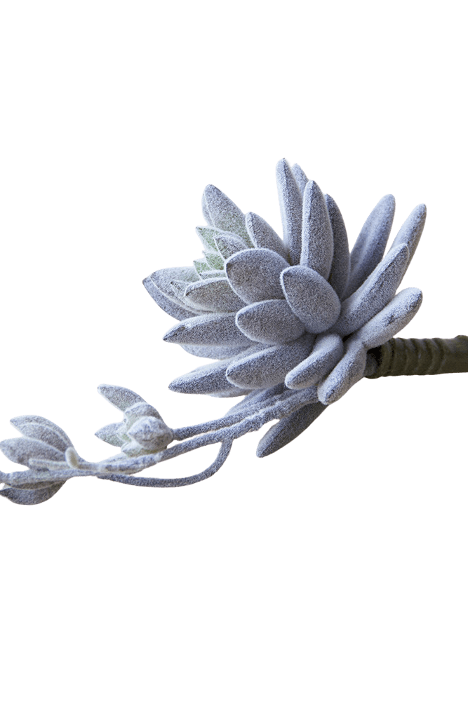 Succulents Fake Faux Lifelike Decorative Things - Chive US Wholesale