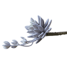 Succulents Fake Faux Lifelike Decorative Things - Chive US Wholesale