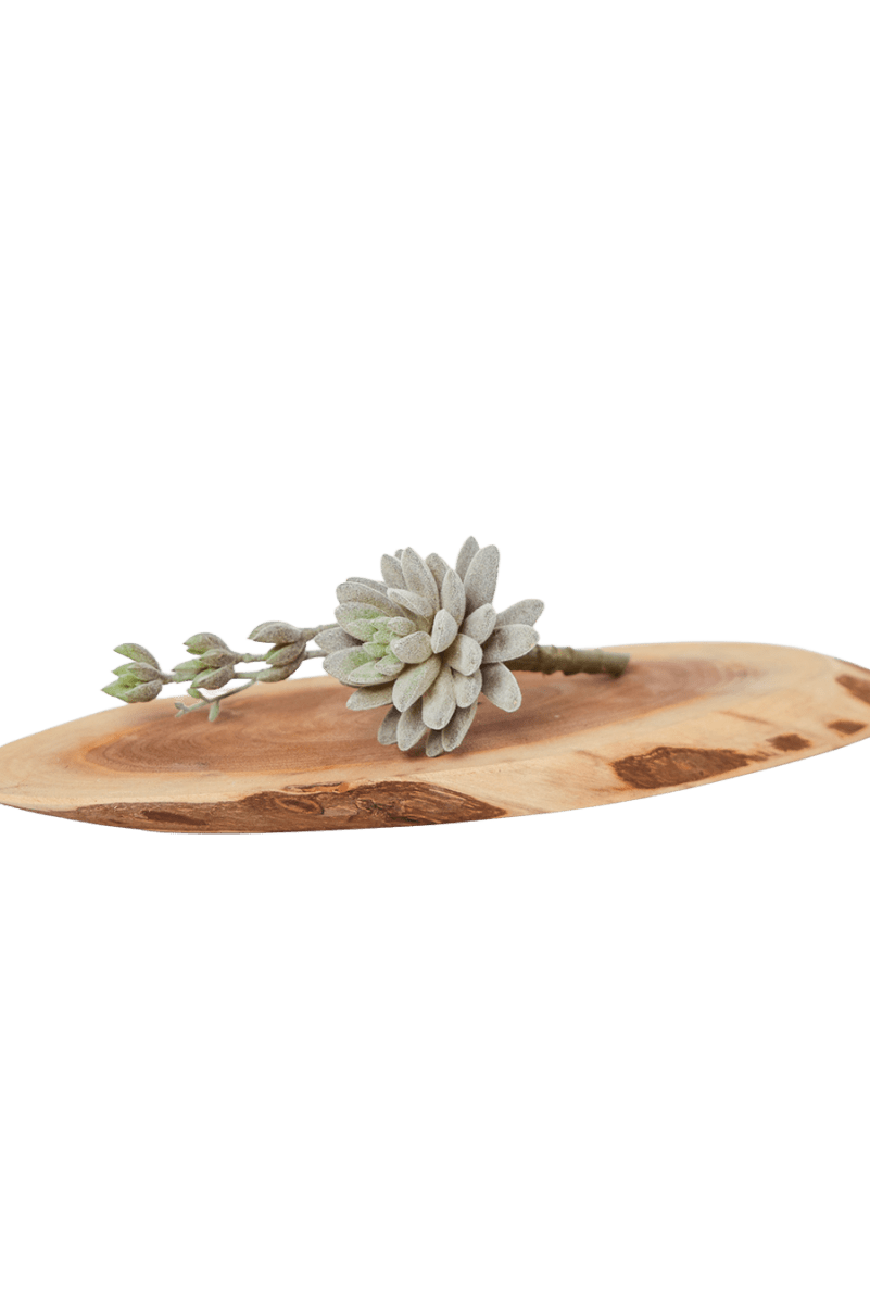 Succulents Fake Faux Lifelike Decorative Things - Chive US Wholesale