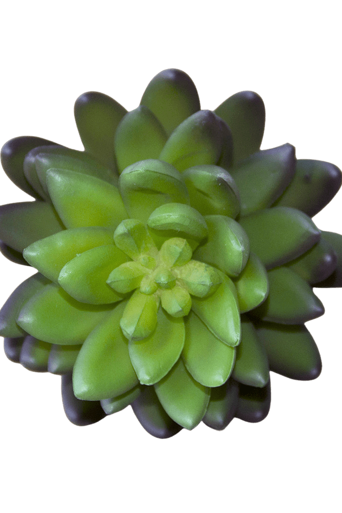 Succulents Fake Faux Lifelike Decorative Things - Chive US Wholesale