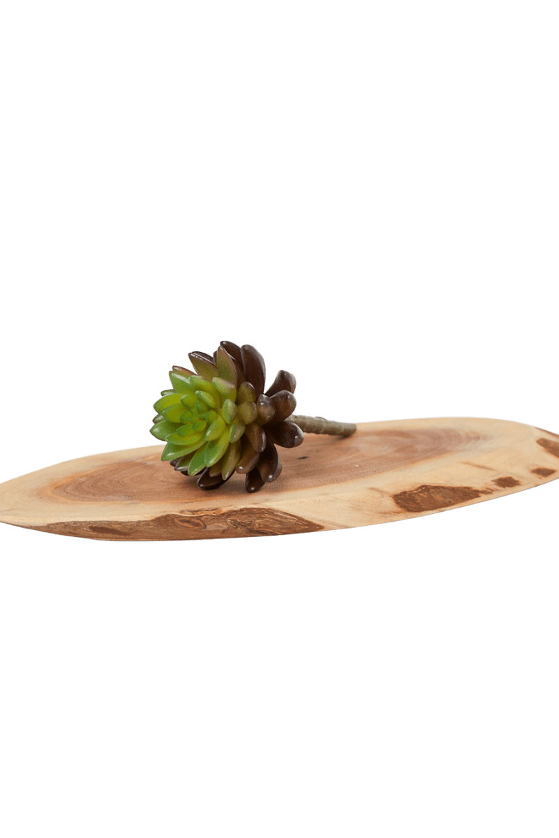 Succulents Fake Faux Lifelike Decorative Things - Chive US Wholesale