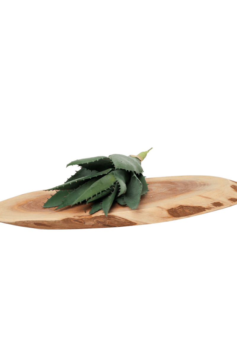 Succulents Fake Faux Lifelike Decorative Things - Chive US Wholesale