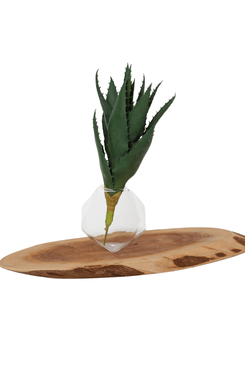 Succulents Fake Faux Lifelike Decorative Things - Chive US Wholesale