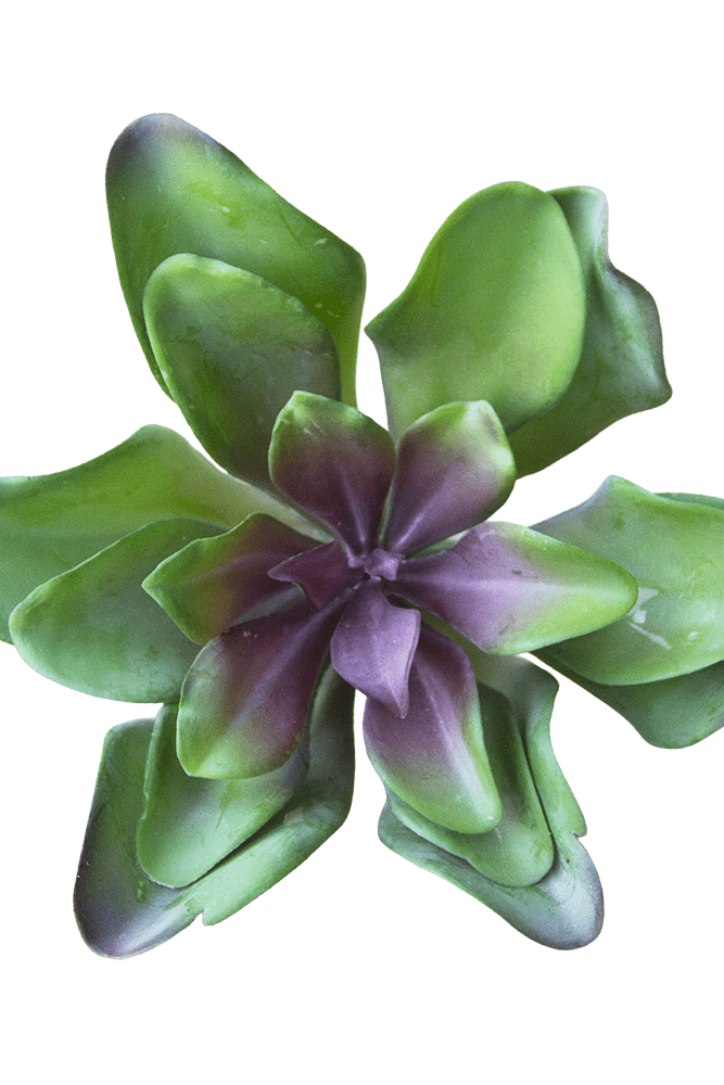 Succulents Fake Faux Lifelike Decorative Things - Chive US Wholesale