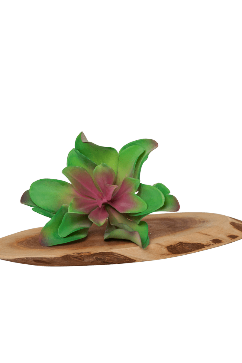 Succulents Fake Faux Lifelike Decorative Things - Chive US Wholesale