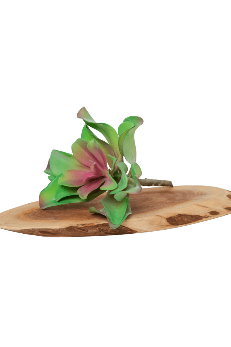 Succulents Fake Faux Lifelike Decorative Things - Chive US Wholesale