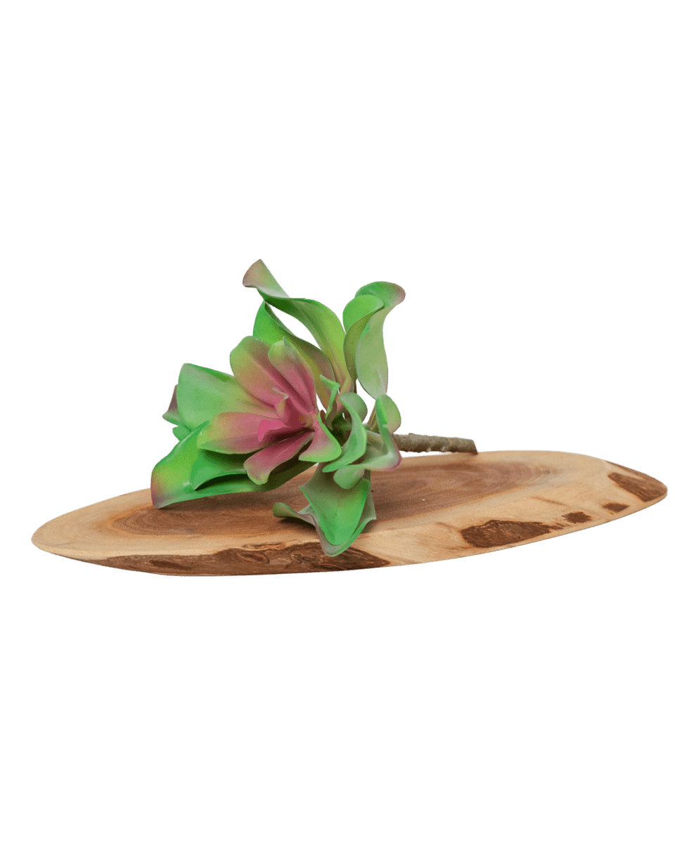 Succulents Fake Faux Lifelike Decorative Things - Chive US Wholesale