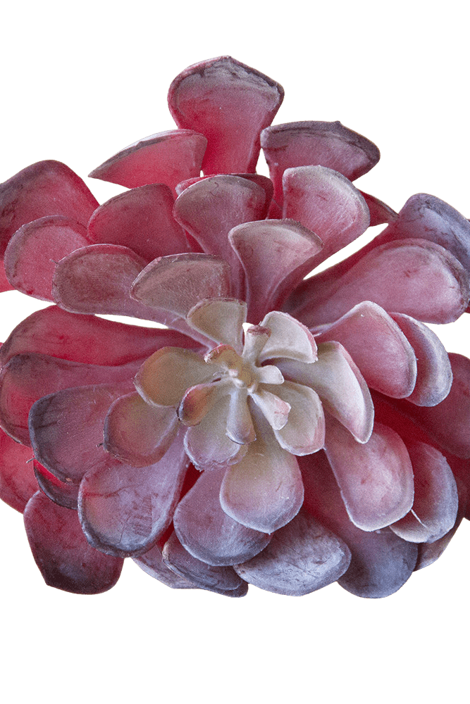 Succulents Fake Faux Lifelike Decorative Things - Chive US Wholesale