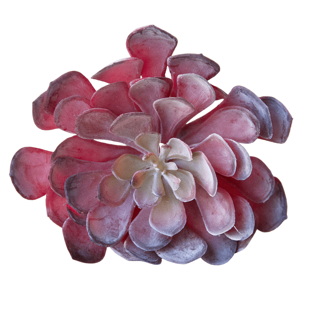 Succulents Fake Faux Lifelike Decorative Things - Chive US Wholesale