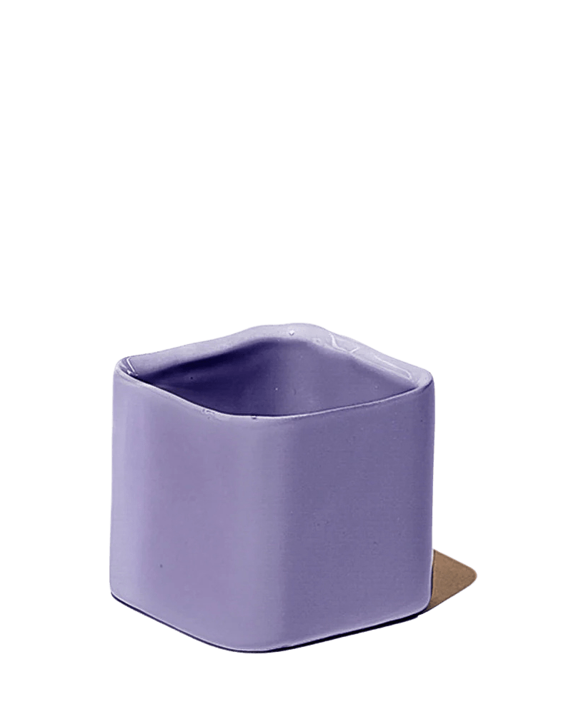 Svek Ceramic Indoor Succulent Pot - Chive US Wholesale