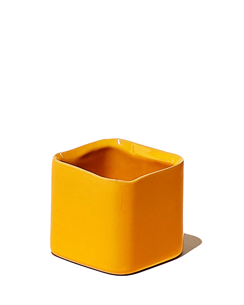 Svek Ceramic Indoor Succulent Pot - Chive US Wholesale