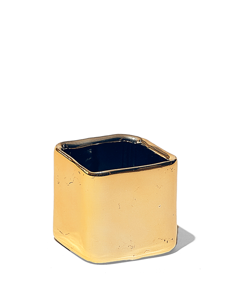 Svek Ceramic Indoor Succulent Pot - Chive US Wholesale