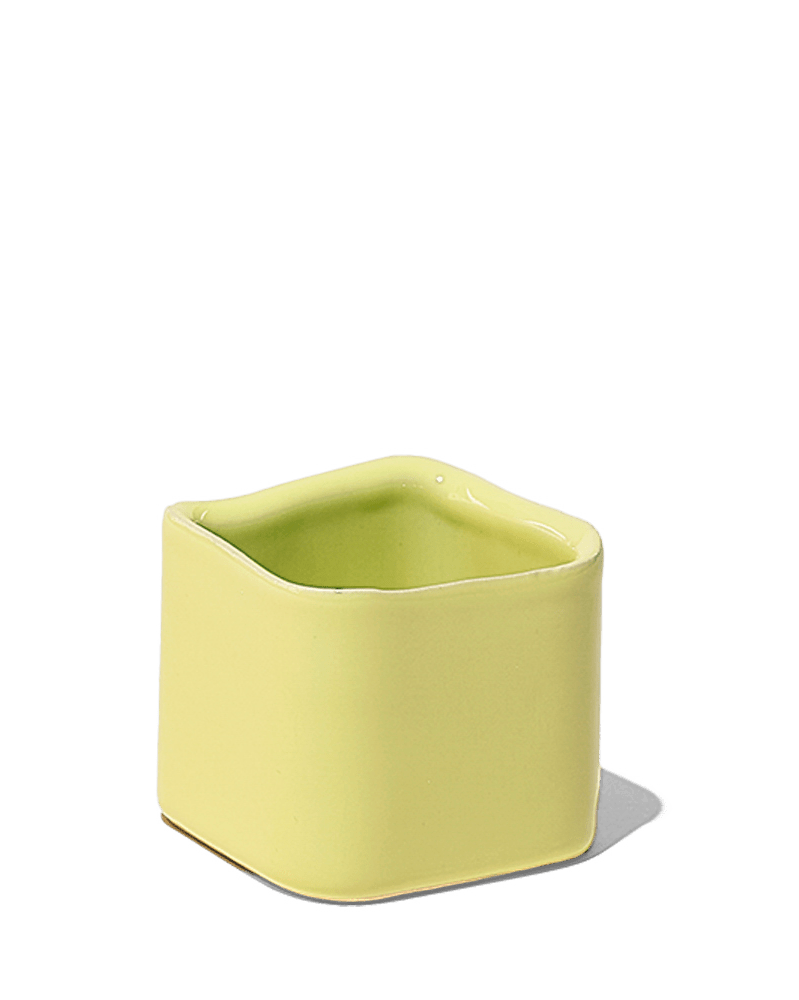 Svek Ceramic Indoor Succulent Pot - Chive US Wholesale