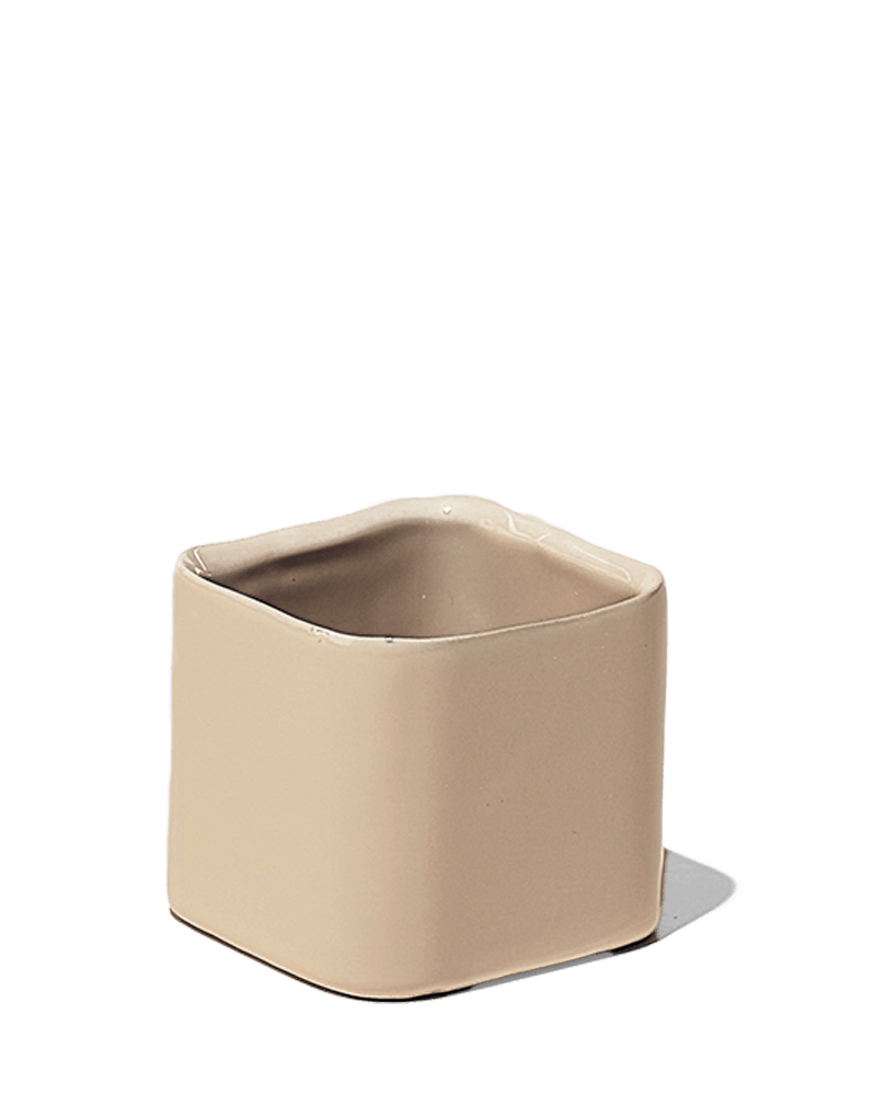 Svek Ceramic Indoor Succulent Pot - Chive US Wholesale