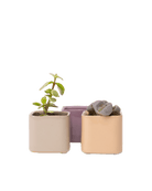 Svek Ceramic Indoor Succulent Pot - Chive US Wholesale